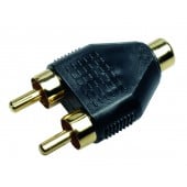Sinus Live Y2M