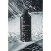 Autošampon Nasiol CLEANION PRO-S (500 ml)