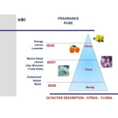 Luxusní stříbrná vůně do auta Mr&Mrs Fragrance Niki Pure