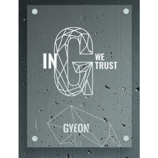 Průhledný LED panel Gyeon LED Type 2 In G we trust 50x67 cm
